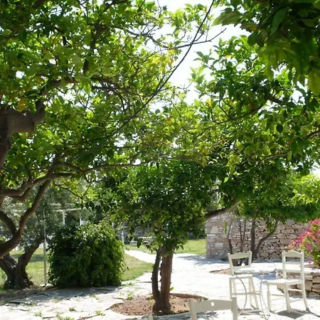 Anezina 2* Δρυός