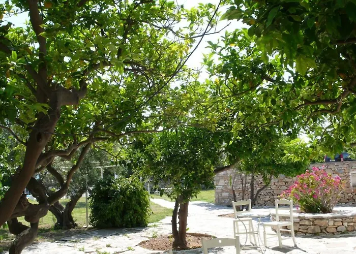 Anezina 2* Δρυός