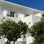 Anezina