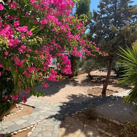 Anezina מלון 2*