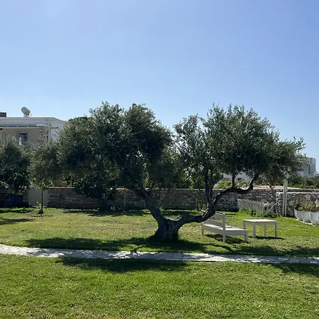 Anezina Hotel Drios